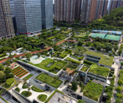 蛇口直行便サービス