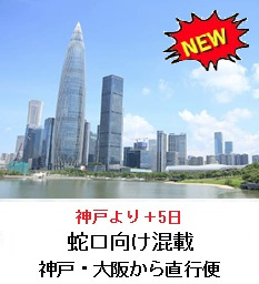 蛇口直行便サービス